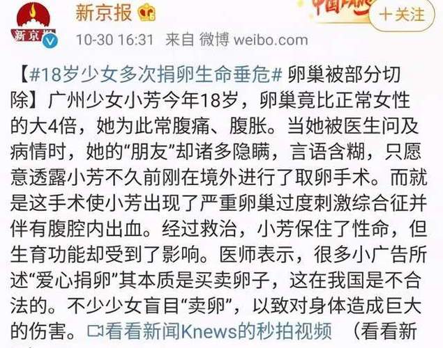 供卵犯罪吗【供卵犯罪吗:法律与伦理的边界】
